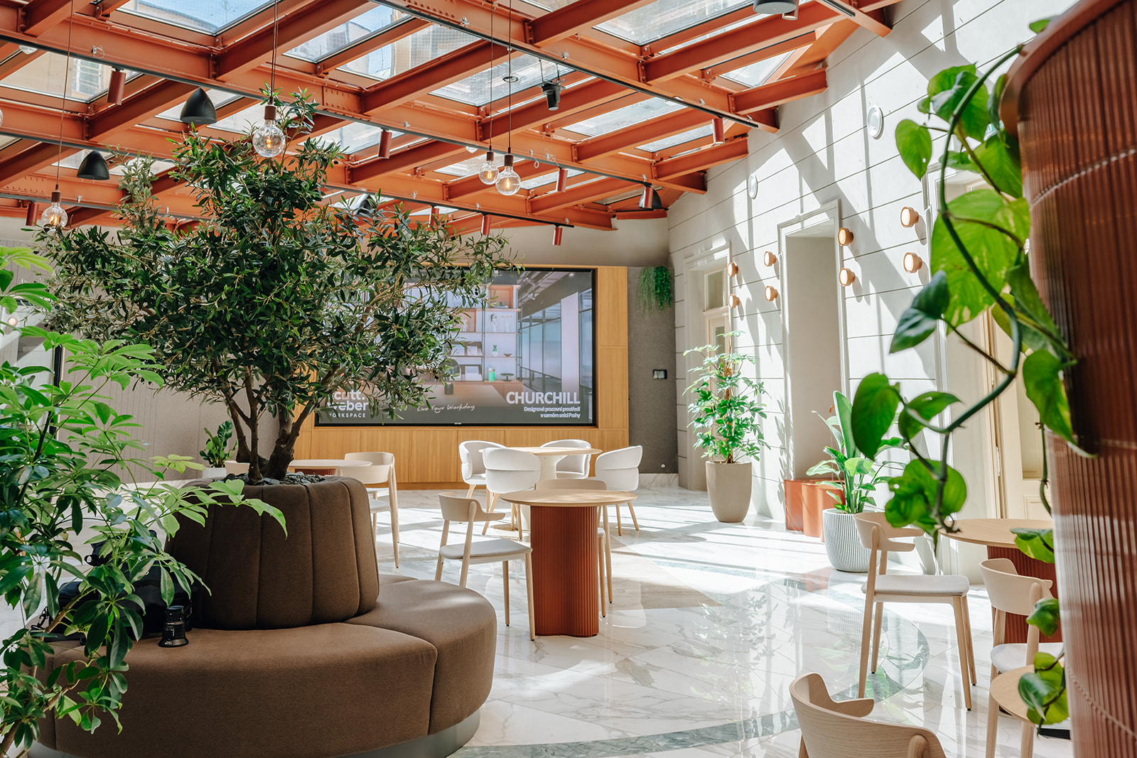 Kancelaře v praze SCOTT.weber